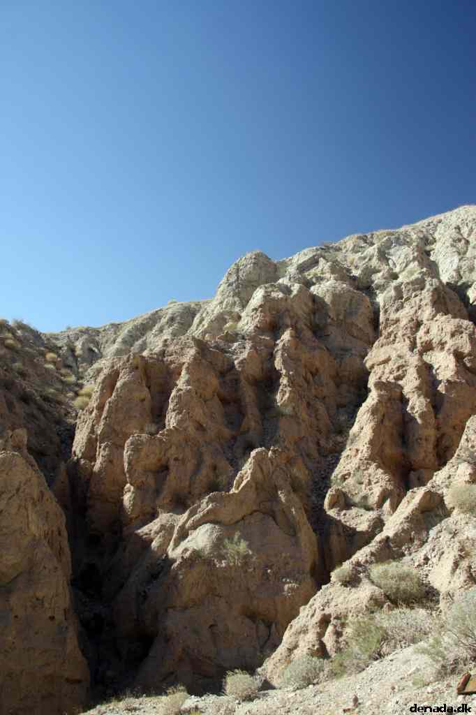 * Image 33