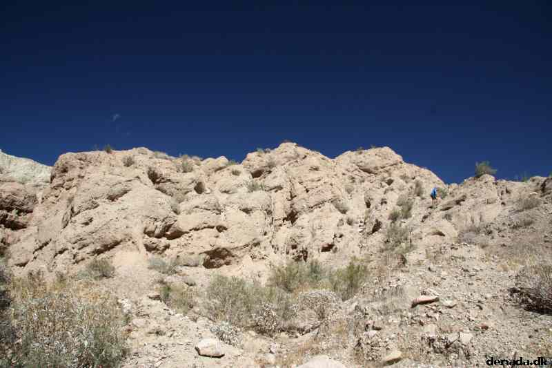 * Image 26