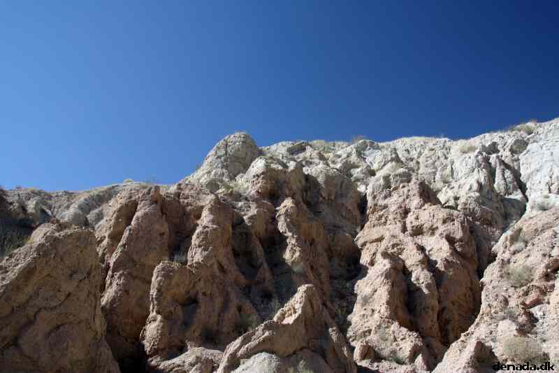 * Image 29