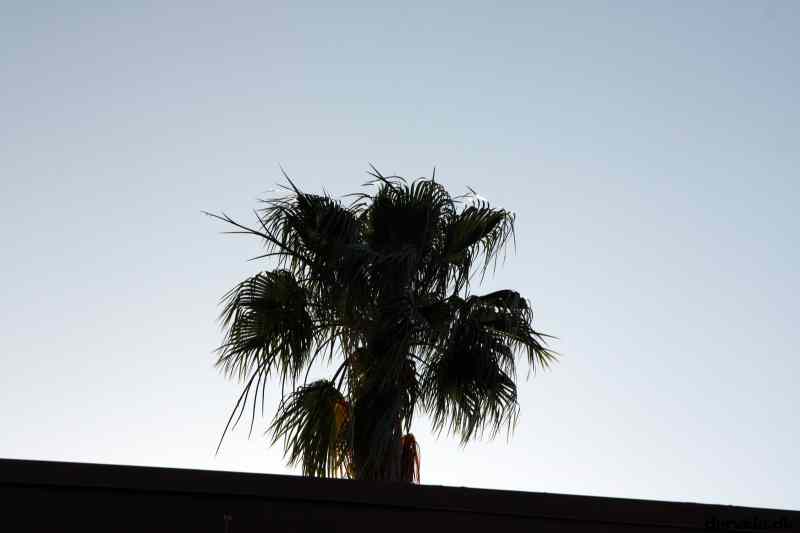 * Image 36