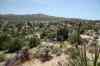 201104251247m.jpg - 2011:04:25 12:57:51