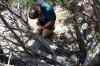 201104251249m.jpg - 2011:04:25 13:00:09