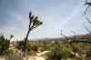 201104251250m.jpg - 2011:04:25 13:00:30