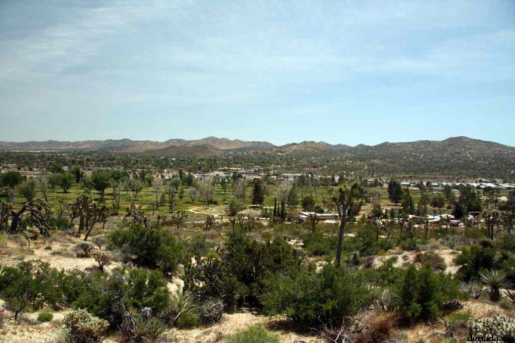 * Image 4