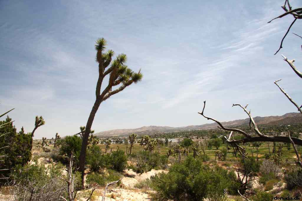 * Image 8