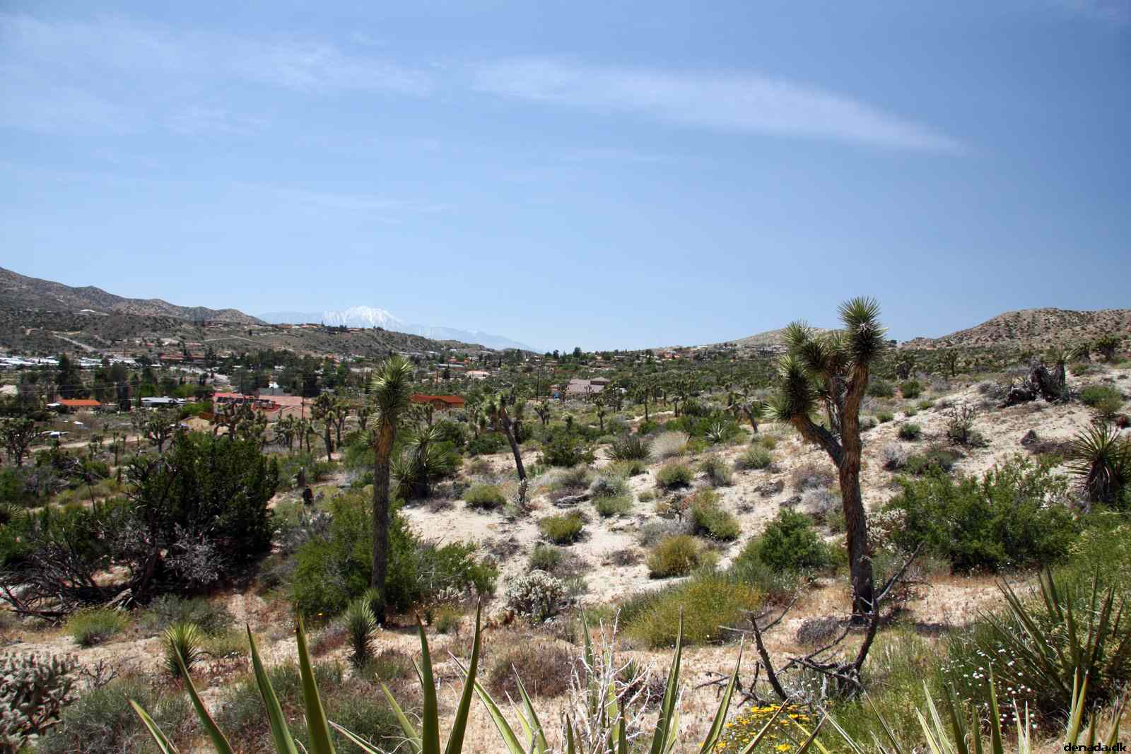 * Image 3