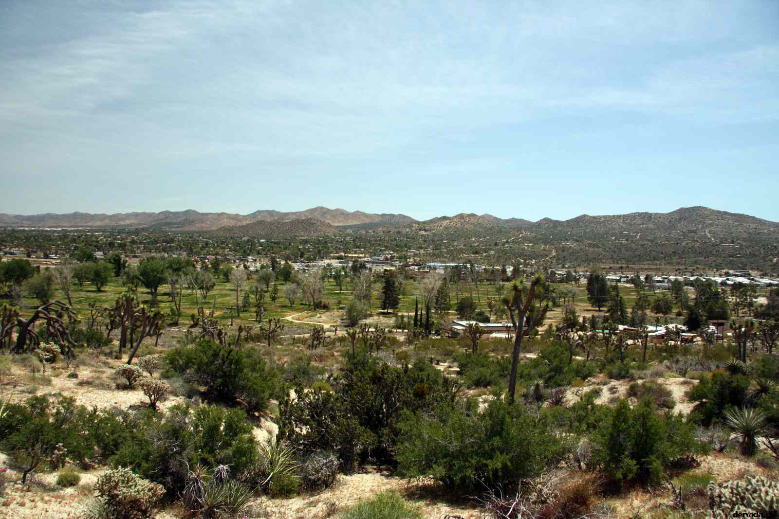 * Image 4