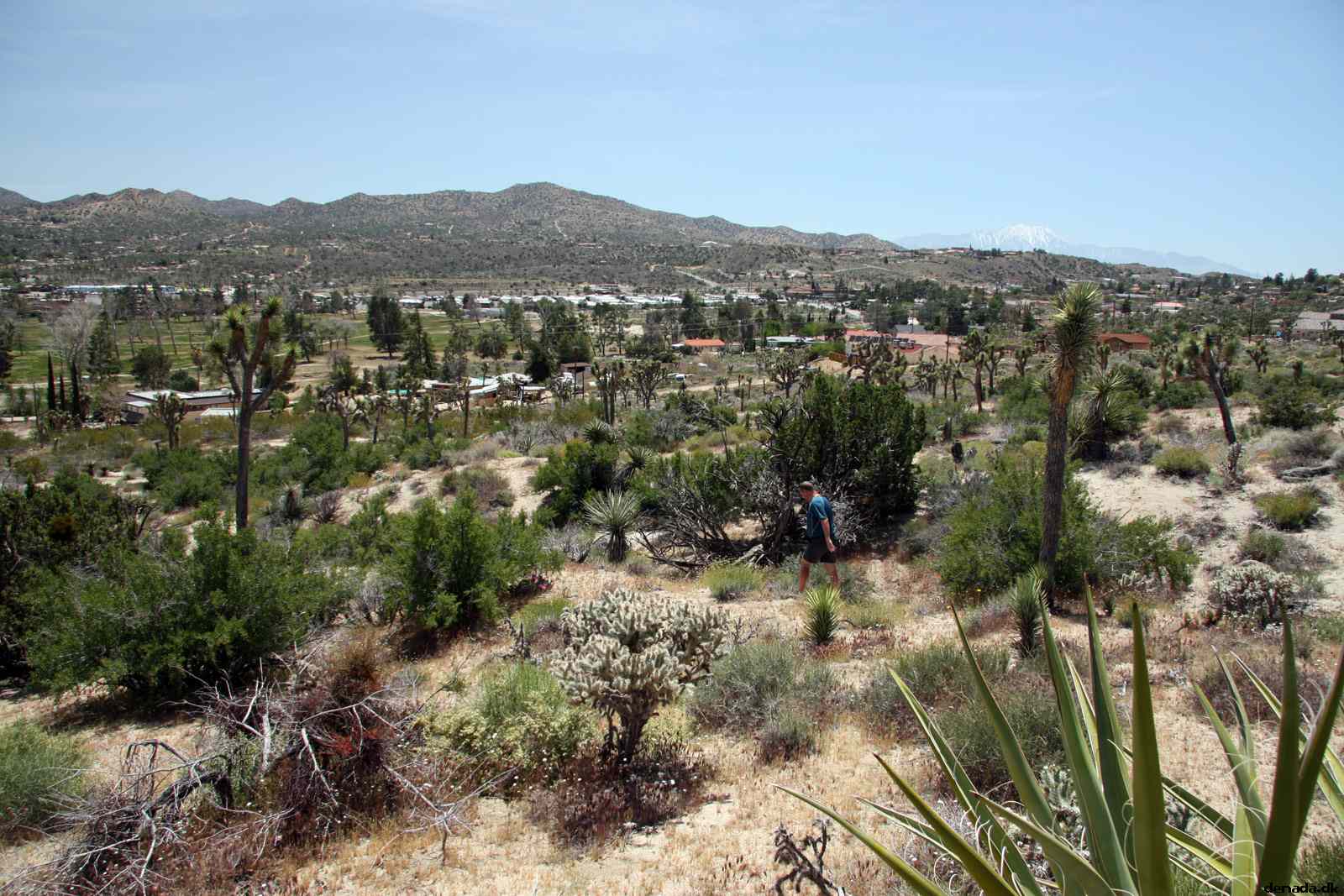 * Image 5