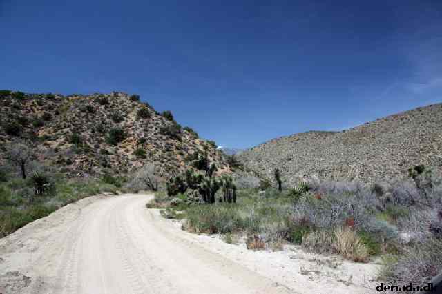 * Image 1