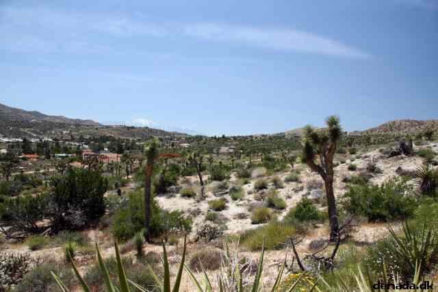 * Image 3