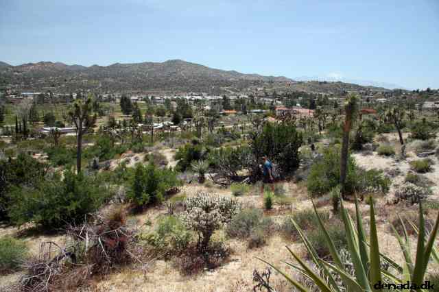 * Image 5