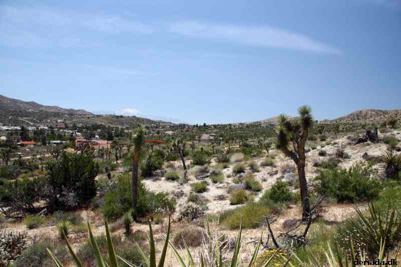 * Image 3