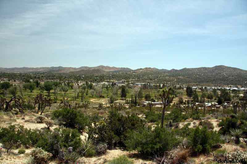 * Image 4