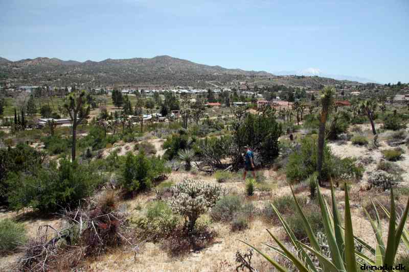 * Image 5