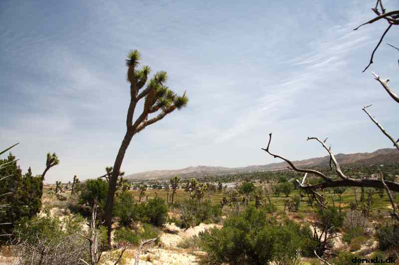 * Image 8