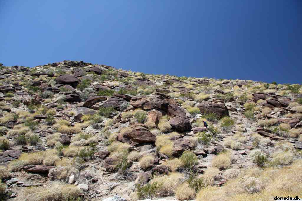 * Image 1
