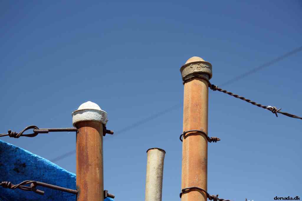 * Image 10