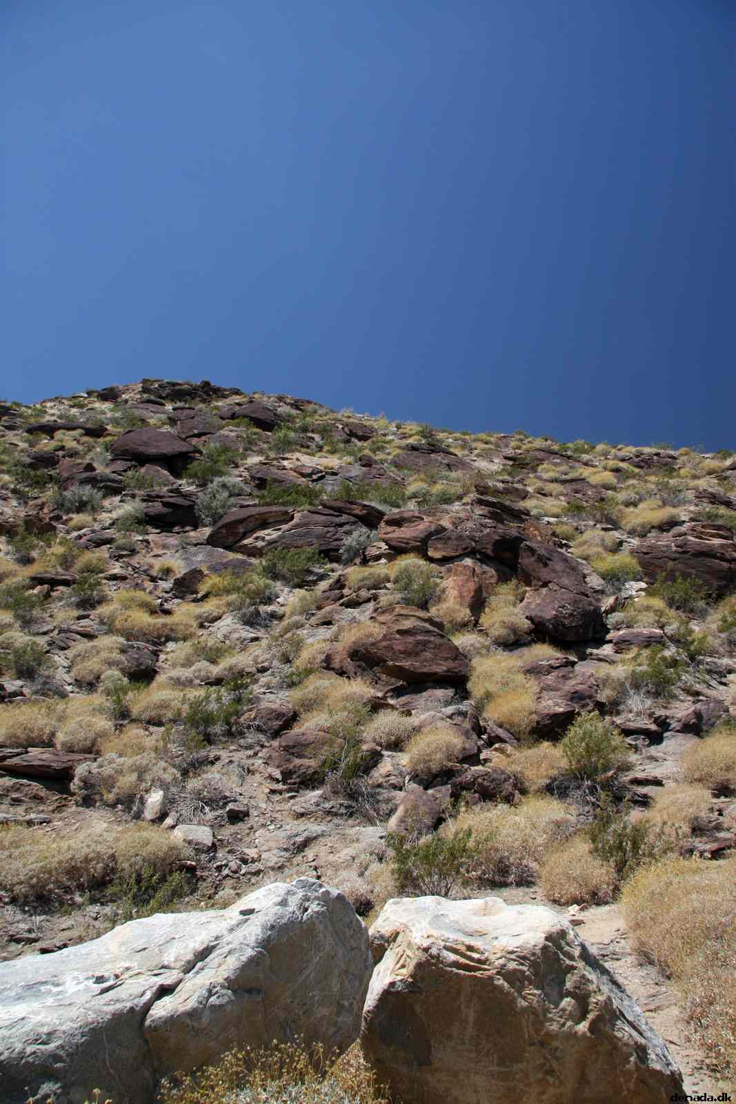 * Image 6