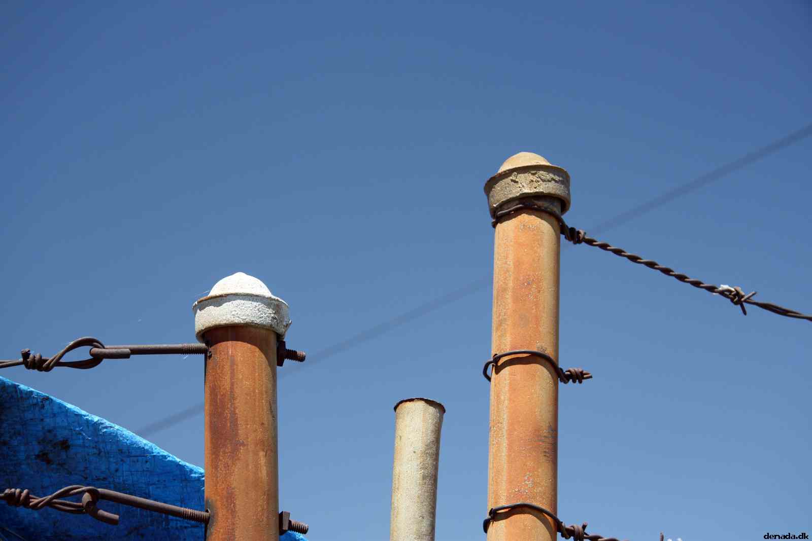 * Image 10