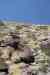 201104261254m.jpg - 2011:04:26 12:21:13