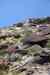 201104261255m.jpg - 2011:04:26 12:21:28