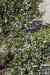 201104261256m.jpg - 2011:04:26 12:21:53