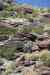 201104261259m.jpg - 2011:04:26 12:24:28