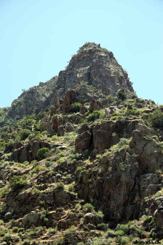 * Image 8