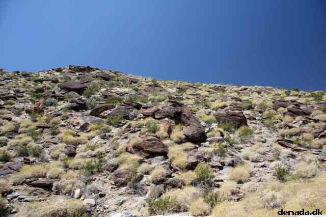 * Image 1