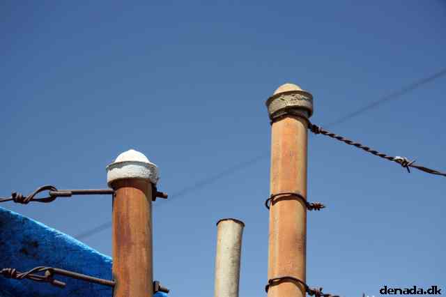 * Image 10
