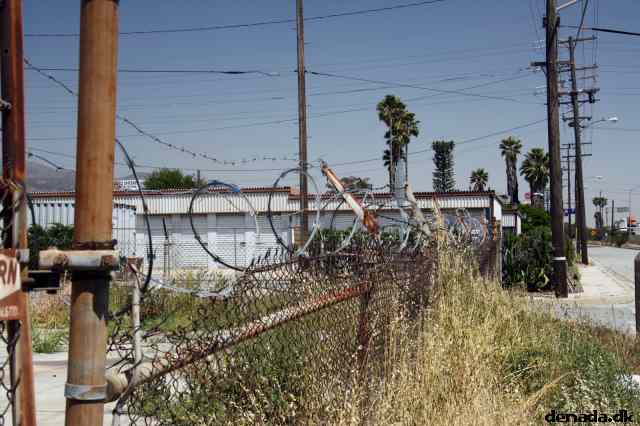 * Image 12