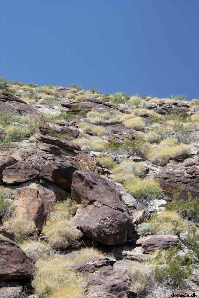* Image 2