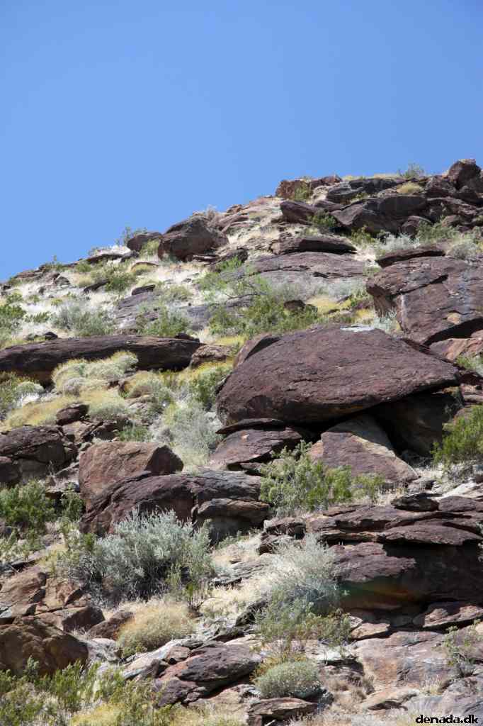 * Image 3