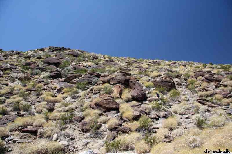 * Image 1