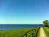 DSC00842m.jpg - 2011:05:08 11:28:22