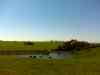 DSC00843m.jpg - 2011:05:08 11:28:35