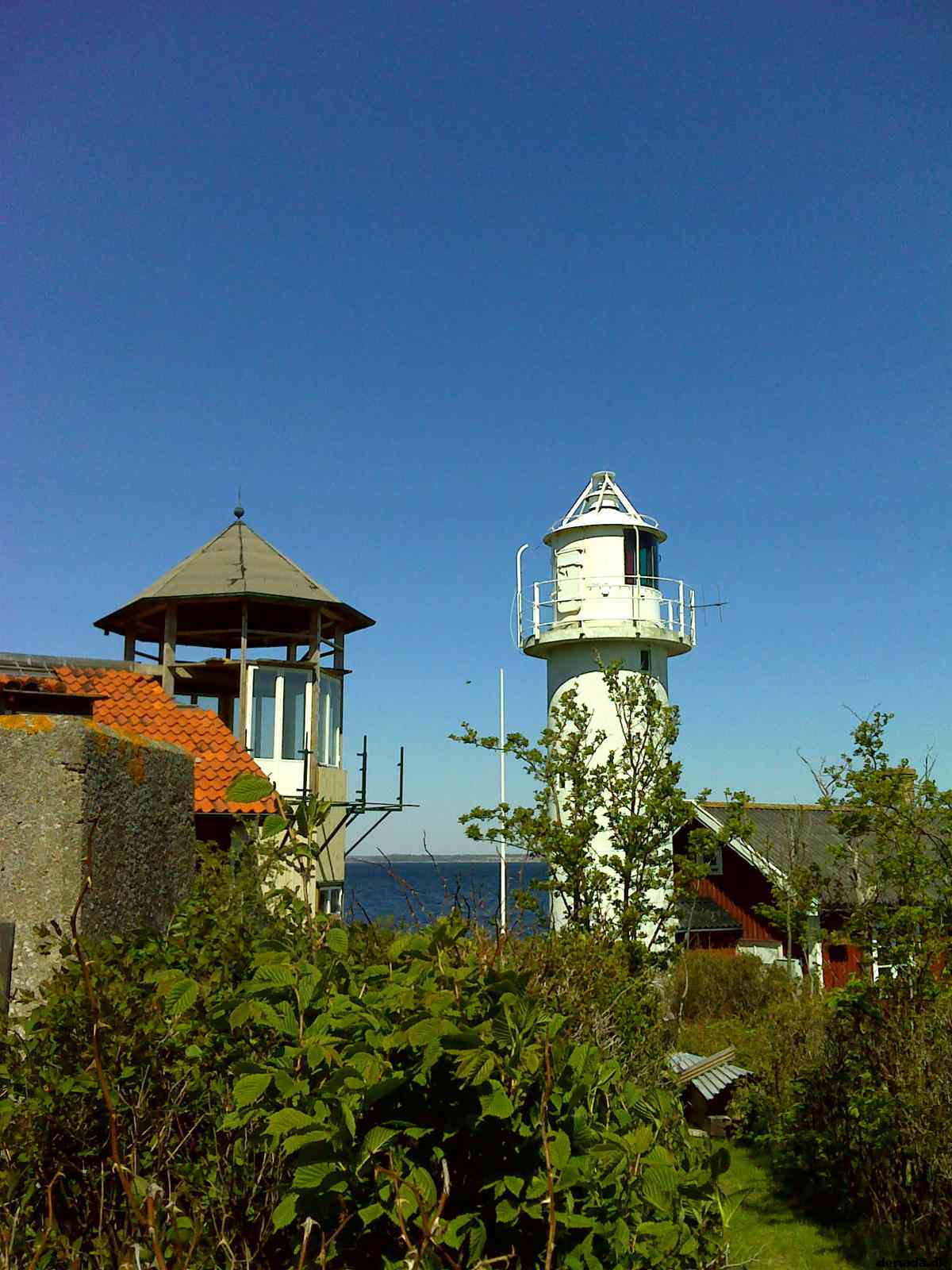 * Image 10