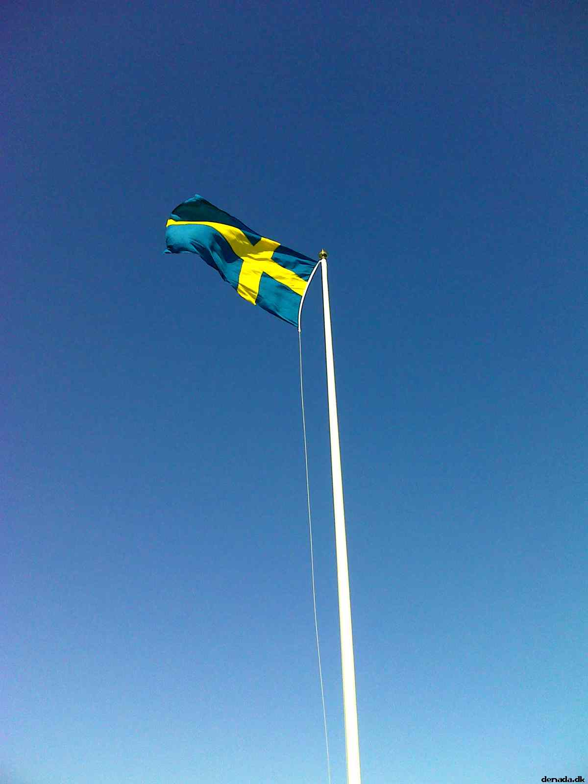 * Image 12