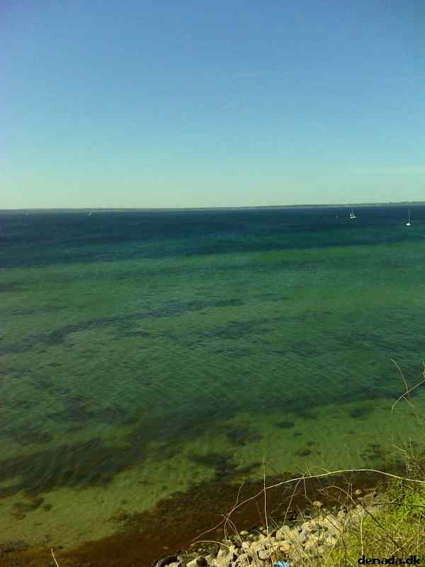 * Image 9
