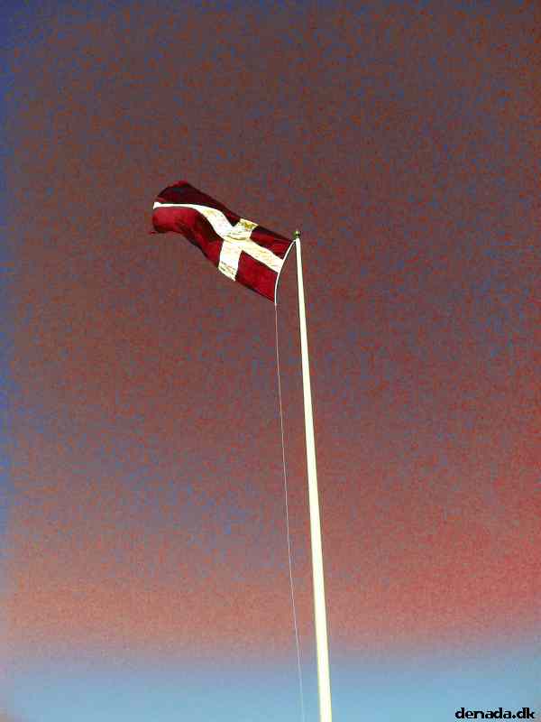 * Image 11