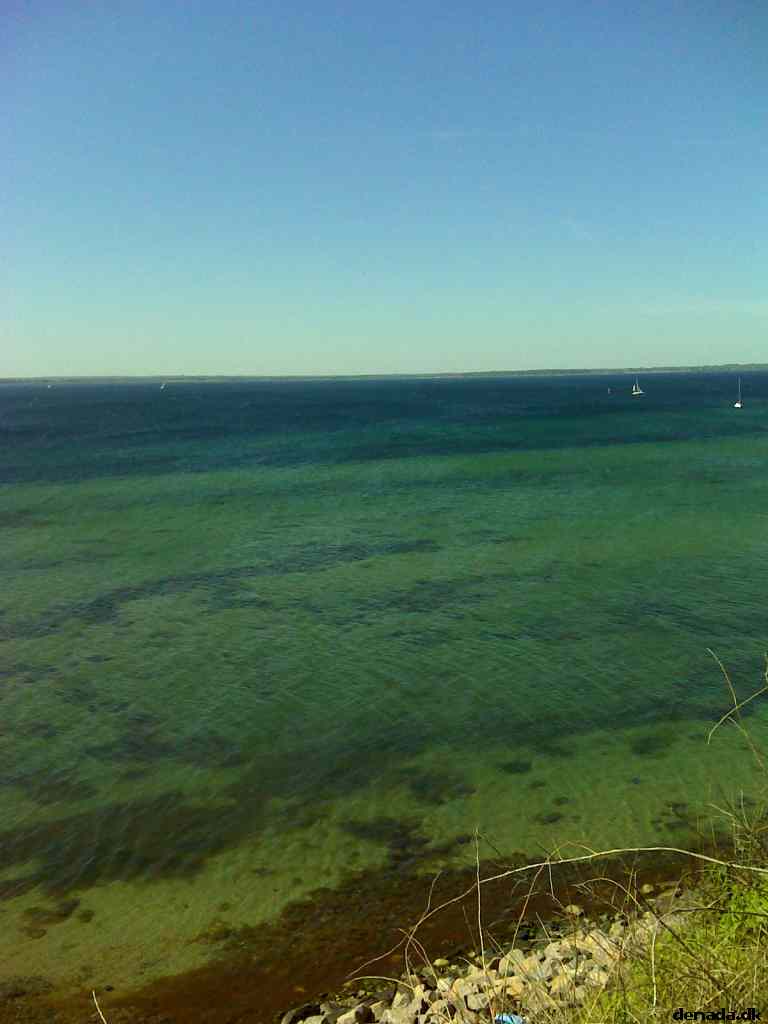 * Image 9