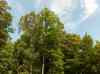 20110531_112941.jpg - 2011:05:31 11:29:41