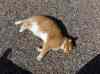 20110602_100454.jpg - 2011:06:02 10:04:54