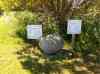 20110603_114111.jpg - 2011:06:03 11:41:11