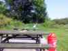 20110606_135542.jpg - 2011:06:06 13:55:42