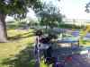 20110606_162914.jpg - 2011:06:06 16:29:14