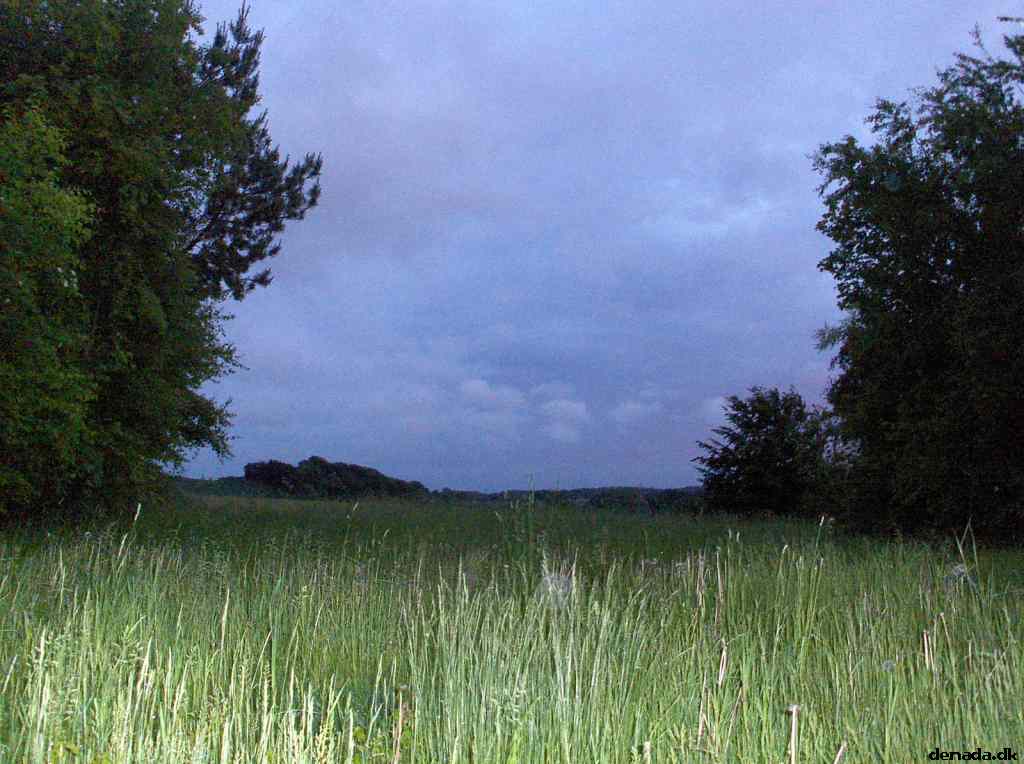 * Image 17