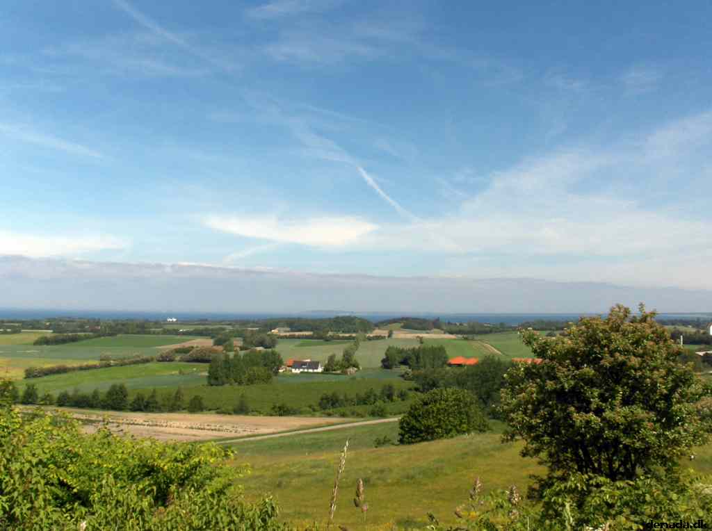 * Image 39