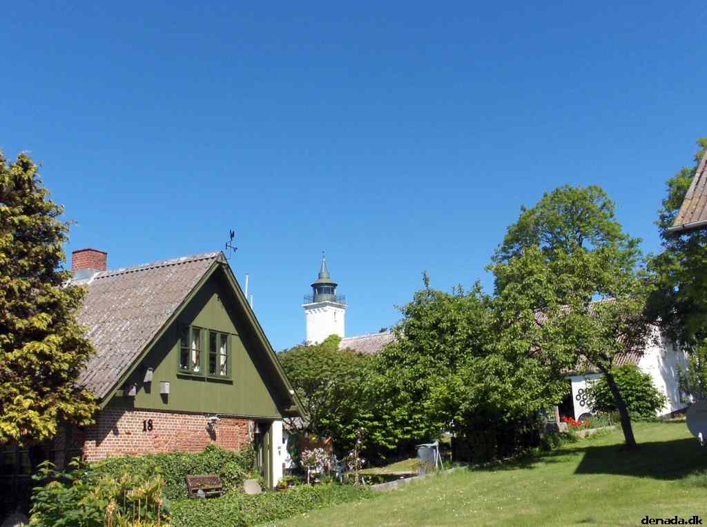 * Image 59