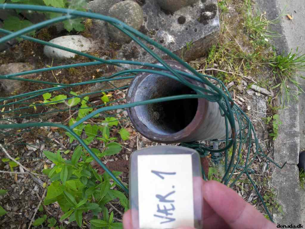 * Image 134